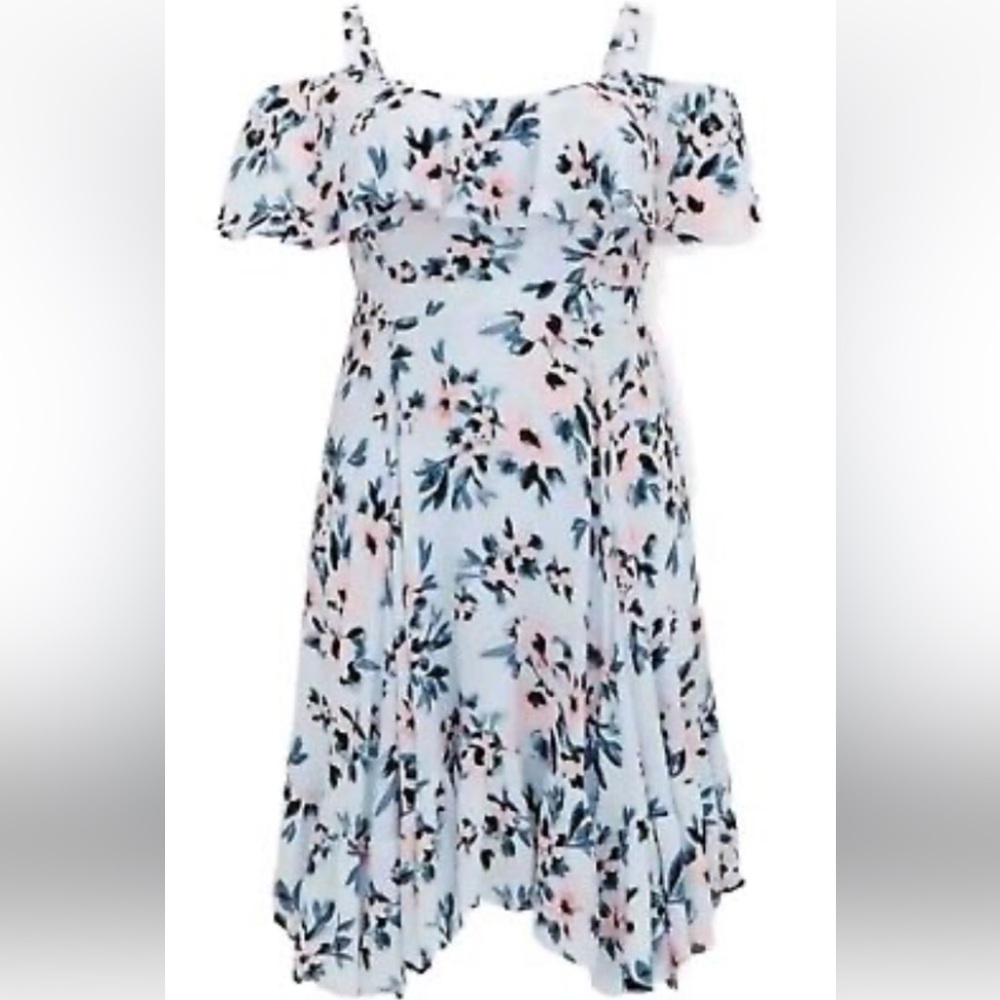 Floral Blue and Pink Torrid Dress